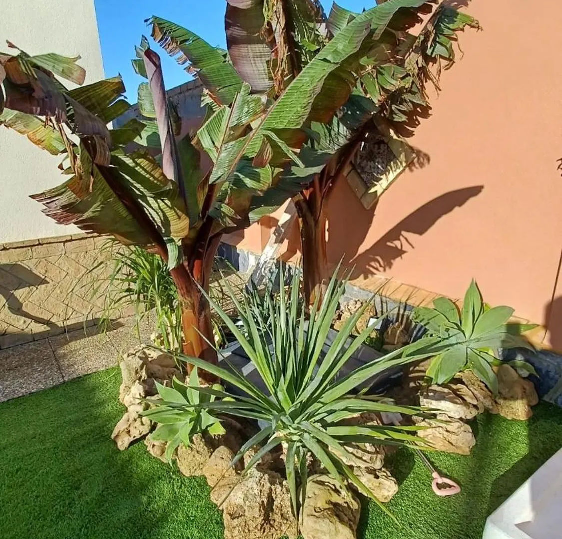 Holiday home Mi Deseo Villa Sanlucar de Barrameda Spain
